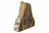 Polished Petrified Wood Bookends - Washington #240774-1